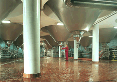 Hier reift das ber&uuml;hmte Rothaus Bier